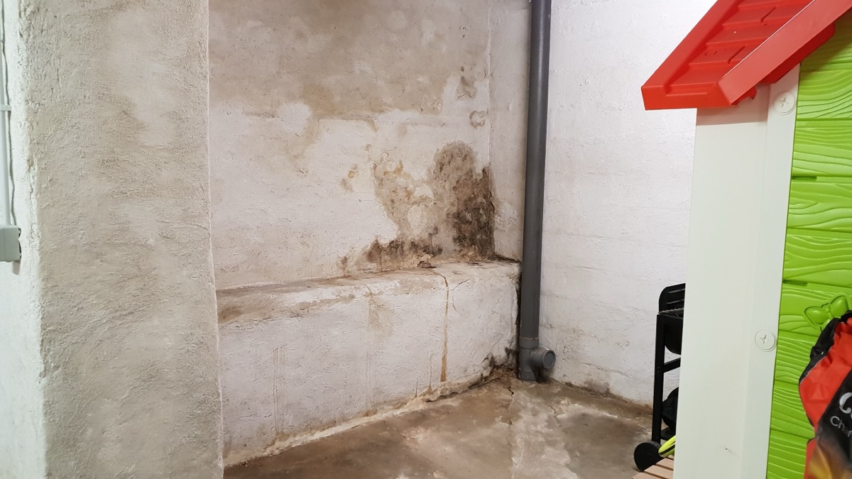 Infiltrations d'eau - Expertise humidité à Tarbes